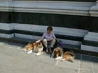 An artist and her dogs