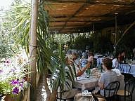 Lunch on the Terrace in Sorrento