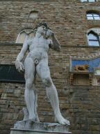 Michelangelo's David (copy)